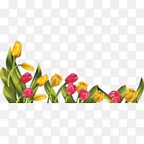 郁金香花剪贴画-免费春季边框-空若网 郁金香花剪贴画-免费春季边框-空若网