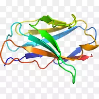 线点生物剪贴画线-空若网 线点生物剪贴画线-空若网