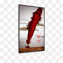 ��ë-��ë-������