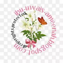 花卉设计-插花艺术-空若网 花卉设计-插花艺术-空若网