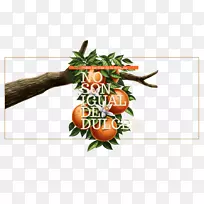 �߲˺���-������