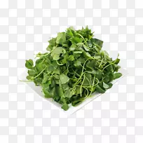 ���̻�Ҭ�˶���Ʒ��-��Ҭ��-������