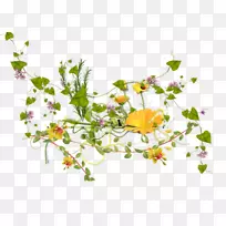 花卉设计叶花瓣植物茎叶-空若网 花卉设计叶花瓣植物茎叶-空若网