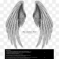 天使翅膀,真的-空若网 天使翅膀,真的-空若网