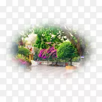 ��-��-������