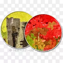 彩绘稻田-空若网 彩绘稻田-空若网