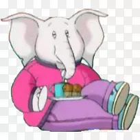 大家庭儿童电视连续剧Elephantidae-大家庭-空若网 大家庭儿童电视连续剧Elephantidae-大家庭-空若网