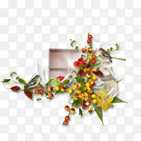 ��������л�����ֲ��.���-������