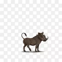 牛陆生动物野生动物猫-空若网 牛陆生动物野生动物猫-空若网