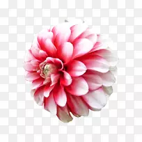 ����������-������ͼƬ-������