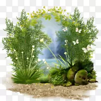 ²Ý±¾Ö²ÎïË®×å¹Ý-¿ÕÈôÍø ²Ý±¾Ö²ÎïË®×å¹Ý-¿ÕÈôÍø