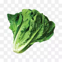 蔬菜凯撒沙拉冰山生菜剪贴画-蔬菜-空若网 蔬菜凯撒沙拉冰山生菜剪贴画-蔬菜-空若网