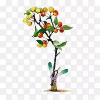 树卡通苹果-卡通苹果树向导-空若网 树卡通苹果-卡通苹果树向导-空若网