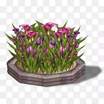 花设计伊曼纽尔切花郁金香-空若网 花设计伊曼纽尔切花郁金香-空若网