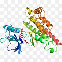 ���������л����߼�������-������