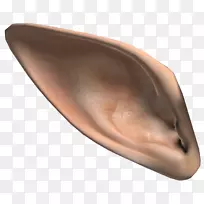 耳精灵耳-空若网 耳精灵耳-空若网