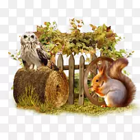 松鼠博客-松鼠-空若网 松鼠博客-松鼠-空若网