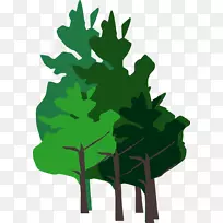 ����ֲ��ҶƬ��֦������-��Ⱥ-������