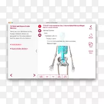 平面设计品牌字体设计-空若网 平面设计品牌字体设计-空若网