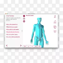 肩部智人图形设计颈牌设计-空若网 肩部智人图形设计颈牌设计-空若网