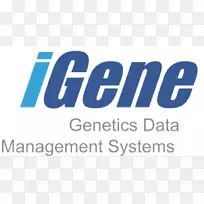 ����ϵͳ���������֯-������