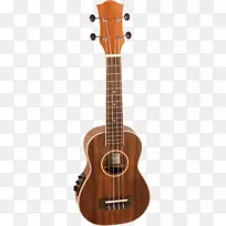 四弦琴乐器班卓琴弦乐调音.乐器-空若网 四弦琴乐器班卓琴弦乐调音.乐器-空若网