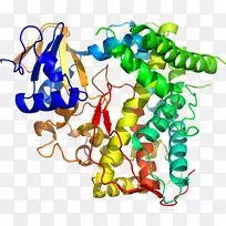 树木艺术食物线剪贴画-树-空若网 树木艺术食物线剪贴画-树-空若网