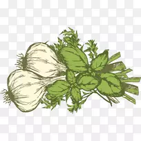 ����˹�в����߲˴�����߲����-�����-������