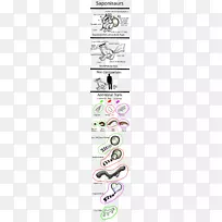 线点角字体线-空若网 线点角字体线-空若网