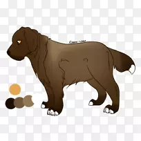 犬种博伊金猎犬鼻子-小狗-空若网 犬种博伊金猎犬鼻子-小狗-空若网