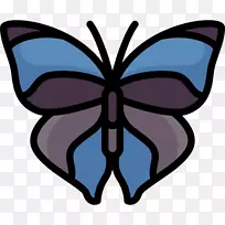 帝王蝴蝶毛笔蝴蝶对称剪贴画蝴蝶-空若网 帝王蝴蝶毛笔蝴蝶对称剪贴画蝴蝶-空若网