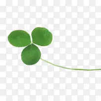 ��Ҷ��-������