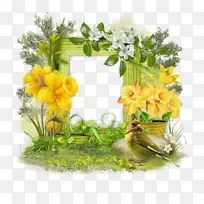 摄影剪贴画.Kurdale-空若网 摄影剪贴画.Kurdale-空若网