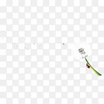 角型飞蒲公英-空若网 角型飞蒲公英-空若网