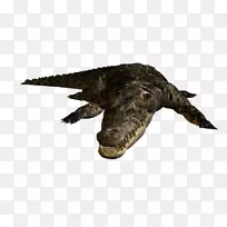 ���޺����㲩�Ϳ���-����-������