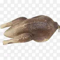 两栖动物鼻子-两栖动物-空若网 两栖动物鼻子-两栖动物-空若网