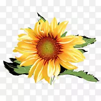 普通向日葵水彩画水彩向日葵-空若网 普通向日葵水彩画水彩向日葵-空若网
