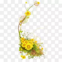 向日葵藤-空若网 向日葵藤-空若网