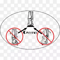 小腿手旋前旋手-空若网 小腿手旋前旋手-空若网
