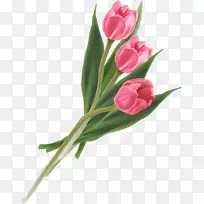 �����㻨��-������-������