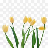 �����㻨��ֽ-������-������