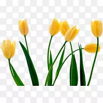 �����㻨��ֽ-������-������