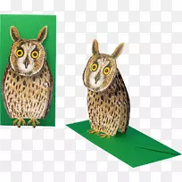 猫头鹰动物喙野生动物猫头鹰-空若网 猫头鹰动物喙野生动物猫头鹰-空若网