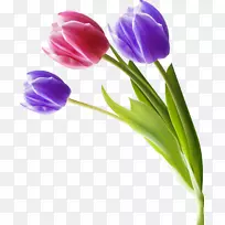 ��������-������