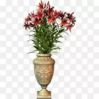 花瓶里的花-空若网 花瓶里的花-空若网