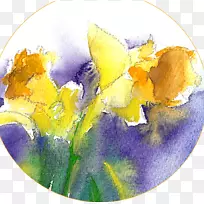 ˮ�ʻ���ϩ��Ϳ�ϱ�ϩ����֬Ϳ��-������