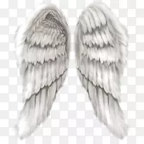 ��ʹ-��ʹ֮��-������