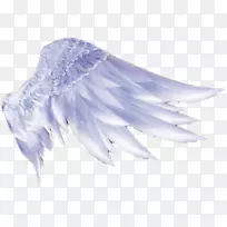 翅膀图标-天使翅膀-空若网 翅膀图标-天使翅膀-空若网