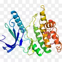 人体首饰有机体线剪贴画线-空若网 人体首饰有机体线剪贴画线-空若网