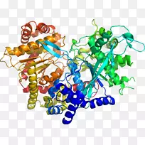 艺术身体珠宝有机体剪贴艺术珠宝首饰-空若网 艺术身体珠宝有机体剪贴艺术珠宝首饰-空若网